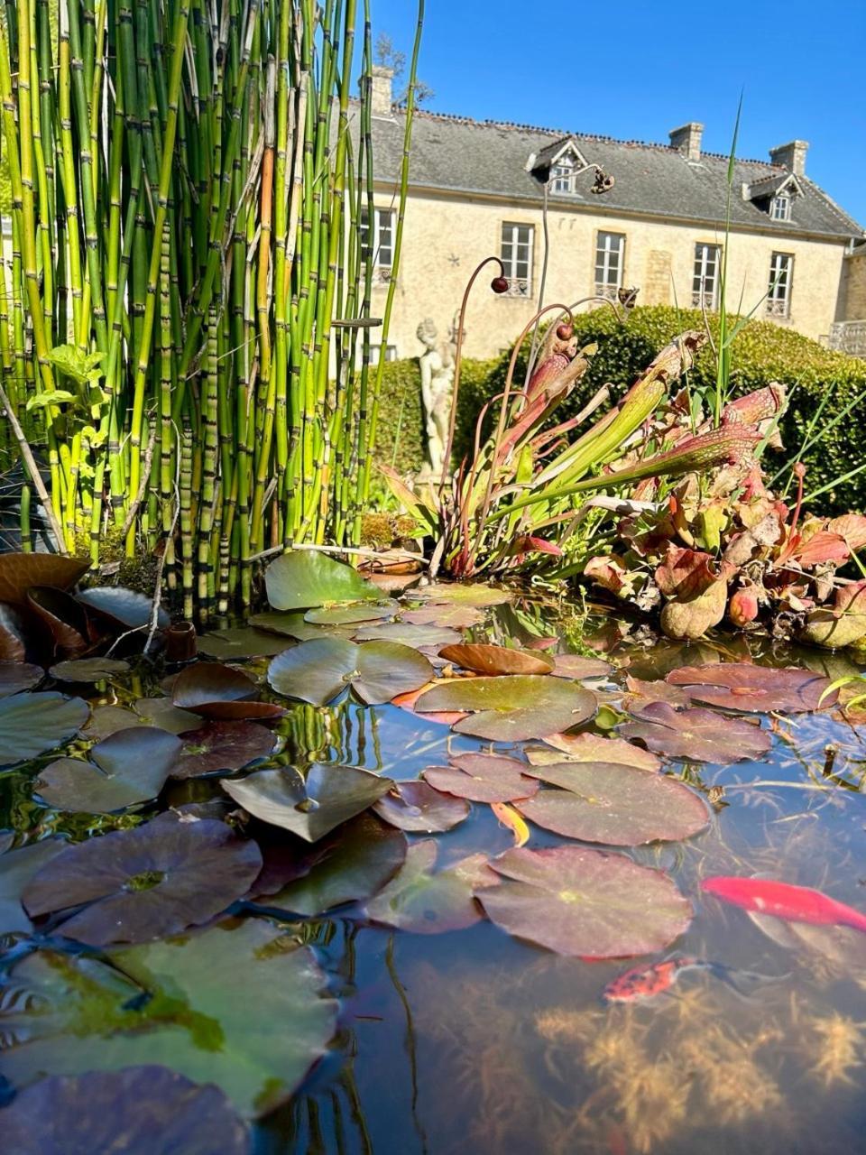 Chambres D'Hotes Manoir Du Chene Nonant Bagian luar foto